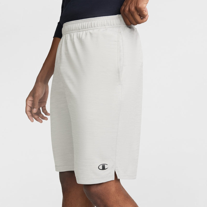 Champion 10" Moisture Wicking, Sport Shorts in New Manhattan Mist Heather